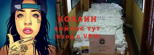 индика Зеленокумск