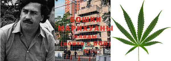 индика Зеленокумск