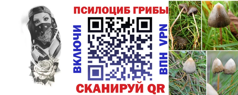 Галлюциногенные грибы Cubensis  Купить закладки  Нея 